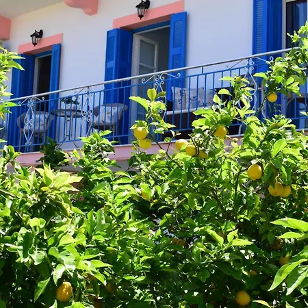 Reginas & Apartments- Fiscardo View