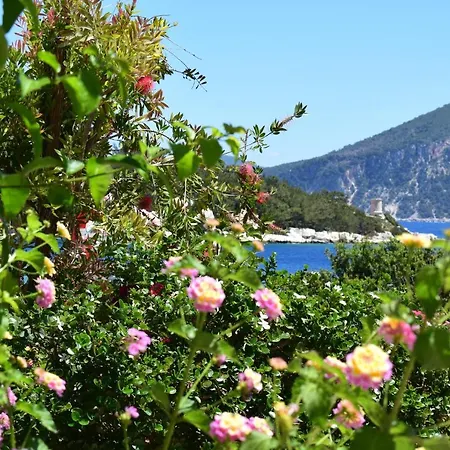 Reginas & Apartments- Fiscardo View *